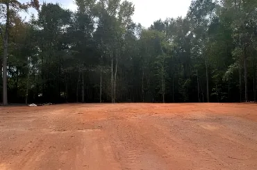 Land Clearing