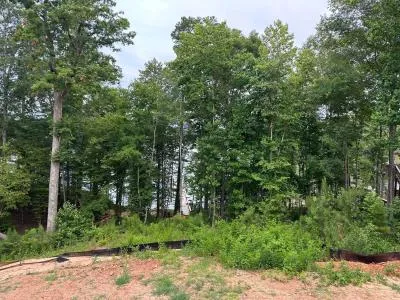 land clearing in Lexington, SC