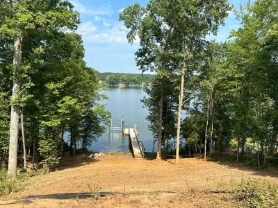 removing heavy brush