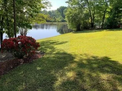 professional landscaping