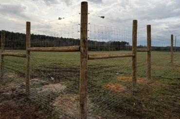 Welded Wire Fencing
