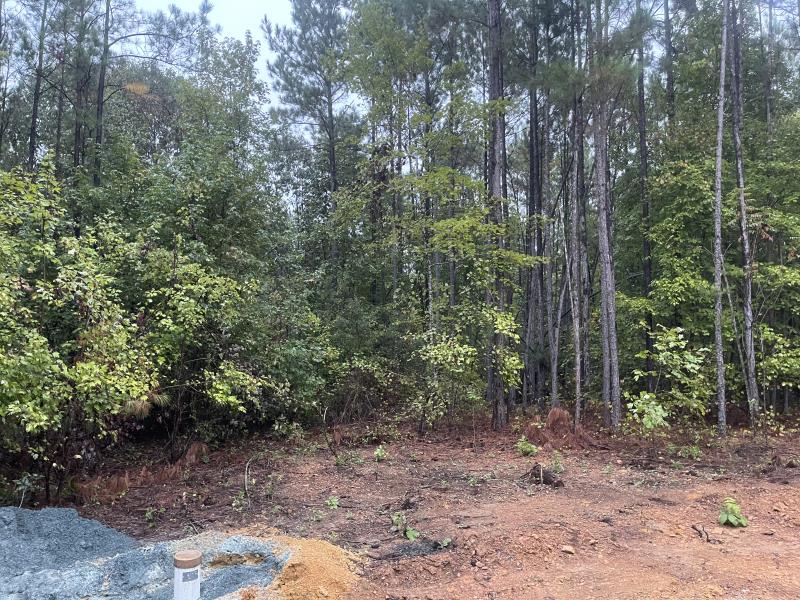 Land Clearing & Grading Blythewood SC