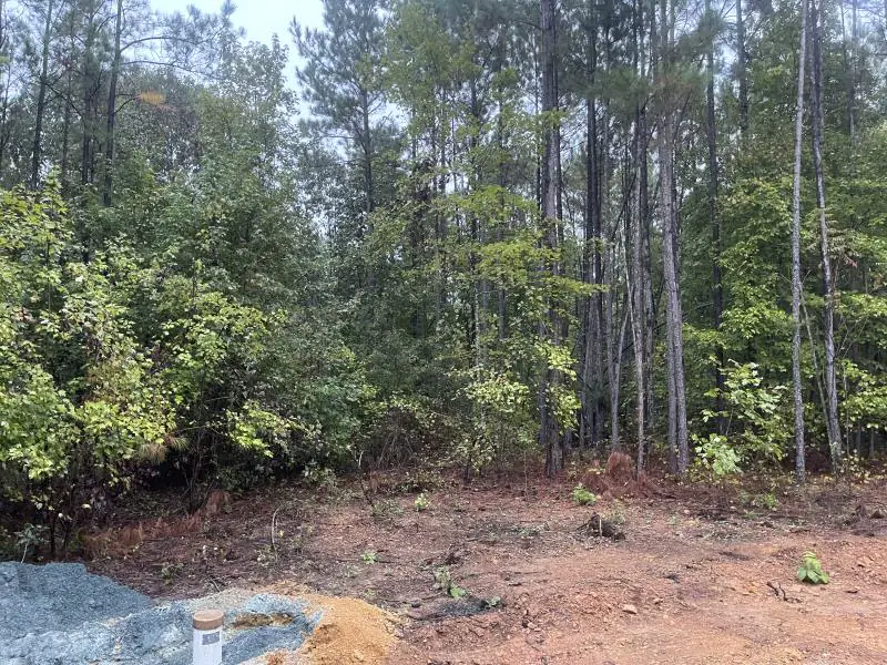 Land Clearing & Grading Blythewood SC
