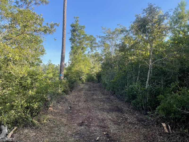 ATV Trails Georgetown SC