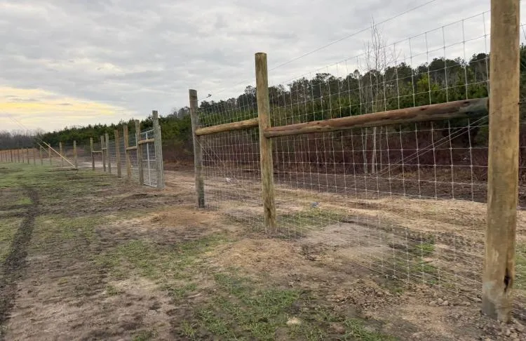 Welded Wire Fencing