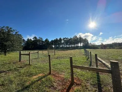 livestock fence