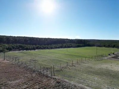 buck and rail fence installation